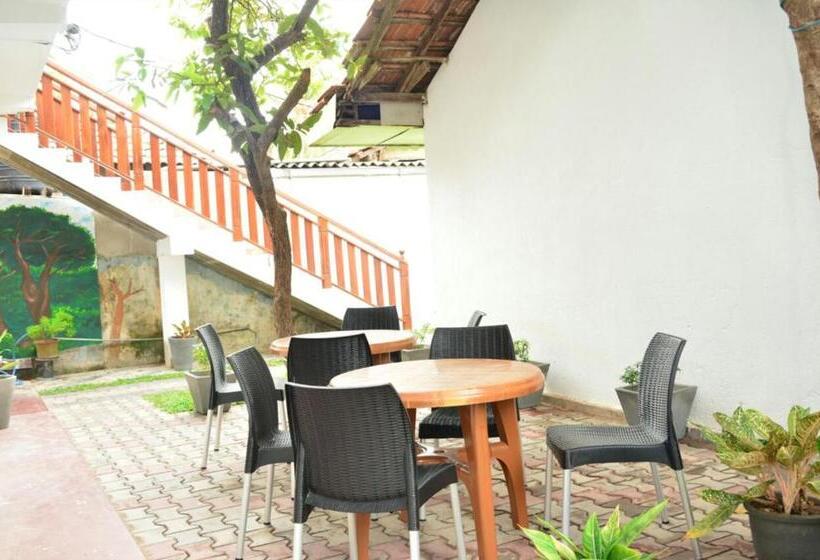 اتاق اکونومی, Tropical Garden