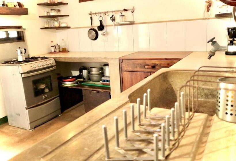 آپارتمان 1 خوابه با تراس, Vibra Guesthouse