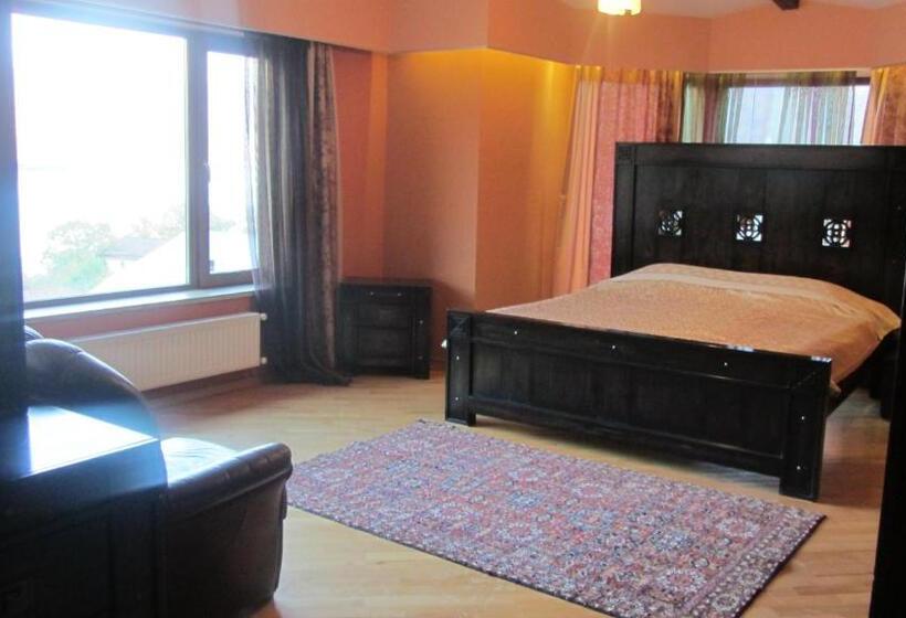 ویلای یک اتاق خوابه با استخر شنا, Villa Ananuri