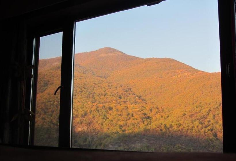 ویلای یک اتاق خوابه با استخر شنا, Villa Ananuri
