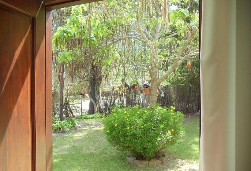 اتاق استاندارد با چشم‌انداز باغ, Dandy Suites