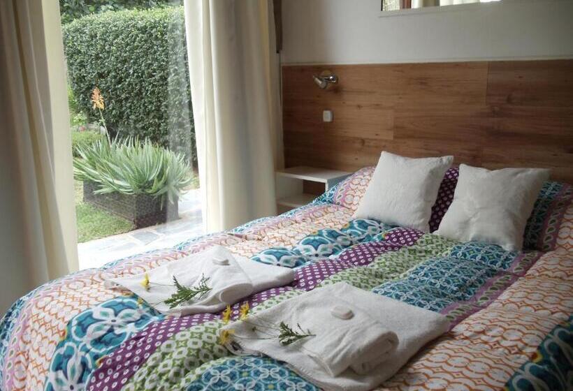 اتاق استاندارد با چشم‌انداز باغ, Dandy Suites
