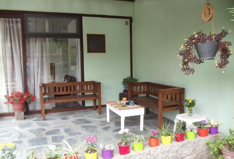 اتاق استاندارد با چشم‌انداز باغ, Dandy Suites