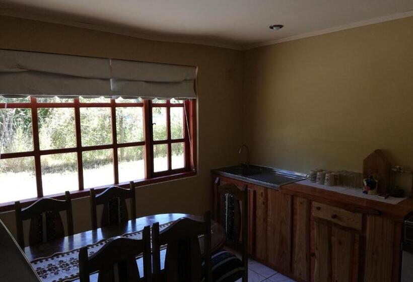 آپارتمان 1 خوابه, El Boldo Magico