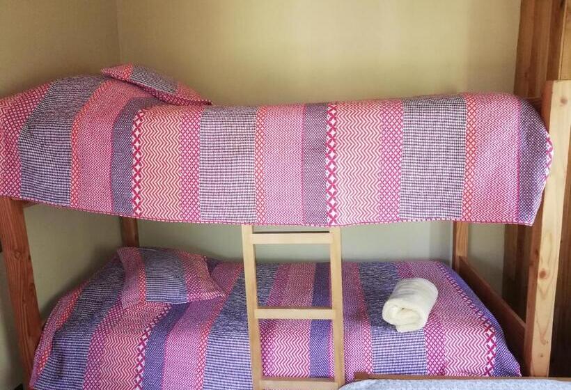 آپارتمان 1 خوابه, El Boldo Magico