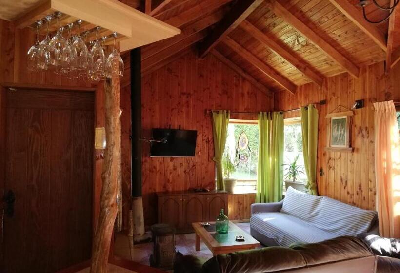 آپارتمان سوپریور 1 خوابه, El Boldo Magico