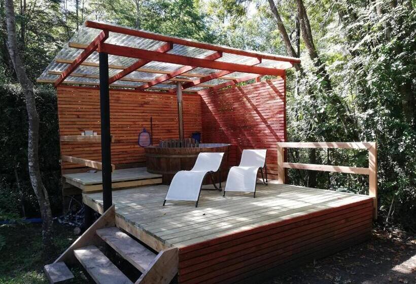 آپارتمان سوپریور 1 خوابه, El Boldo Magico