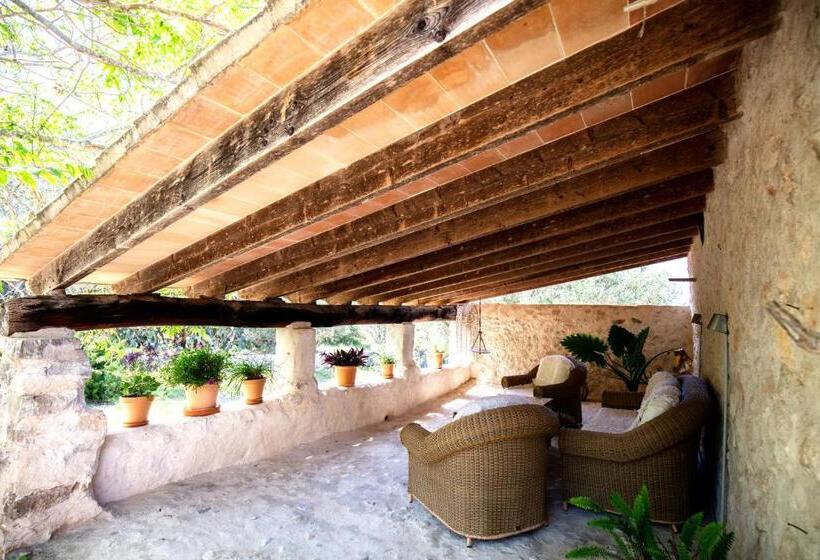 سوئیت جونیور با تراس, Agroturismo Son Boronat