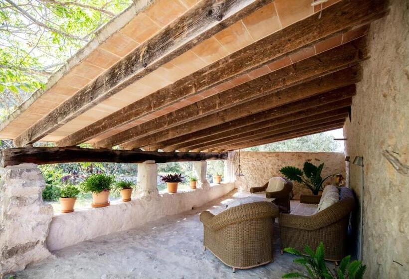 سوئیت جونیور با تراس, Agroturismo Son Boronat