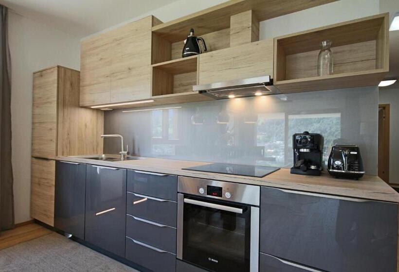 1 Bedroom Apartment Mountain View, Sun Lodge Schladming By Schladming Appartements