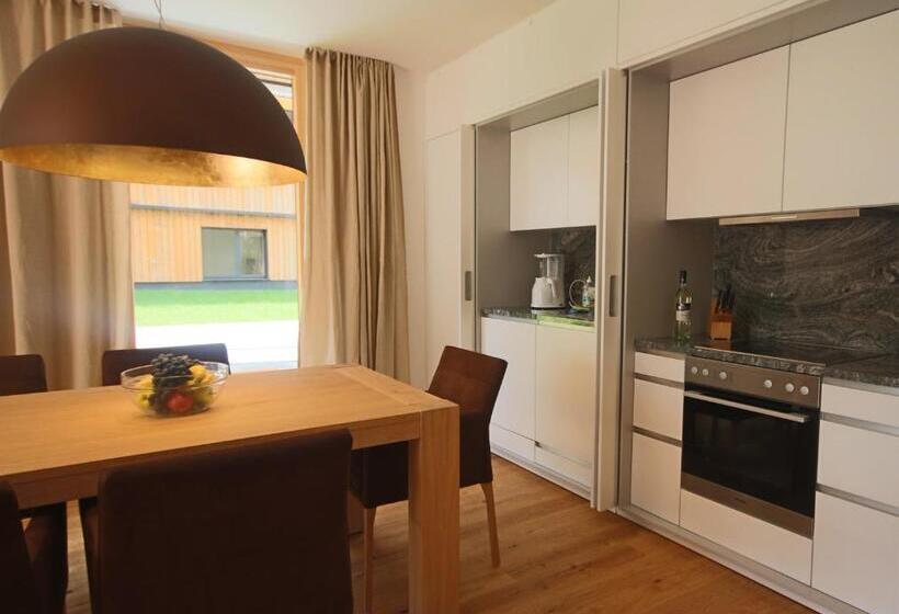 آپارتمان 1 خوابه همکف, Sun Lodge Schladming By Schladming Appartements