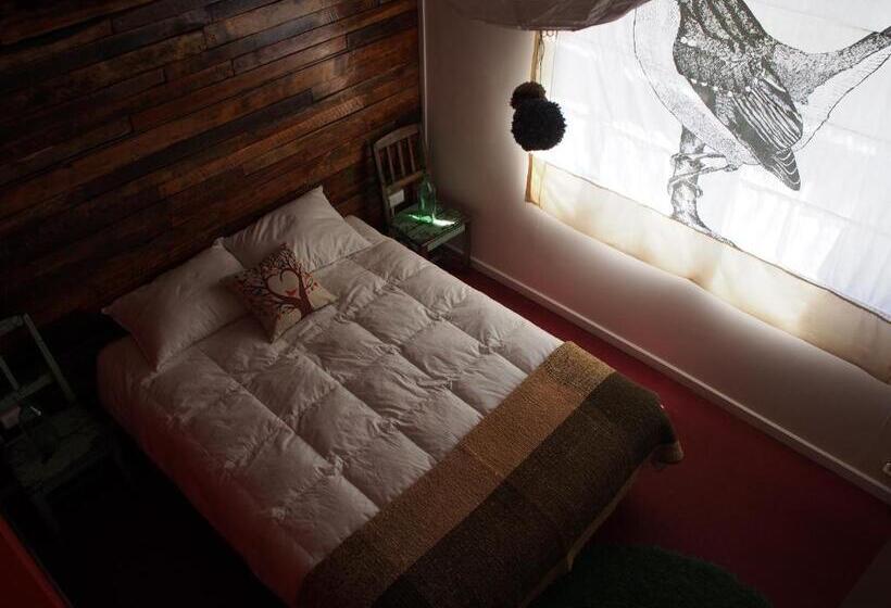 اتاق استاندارد, Treehouse Patagonia