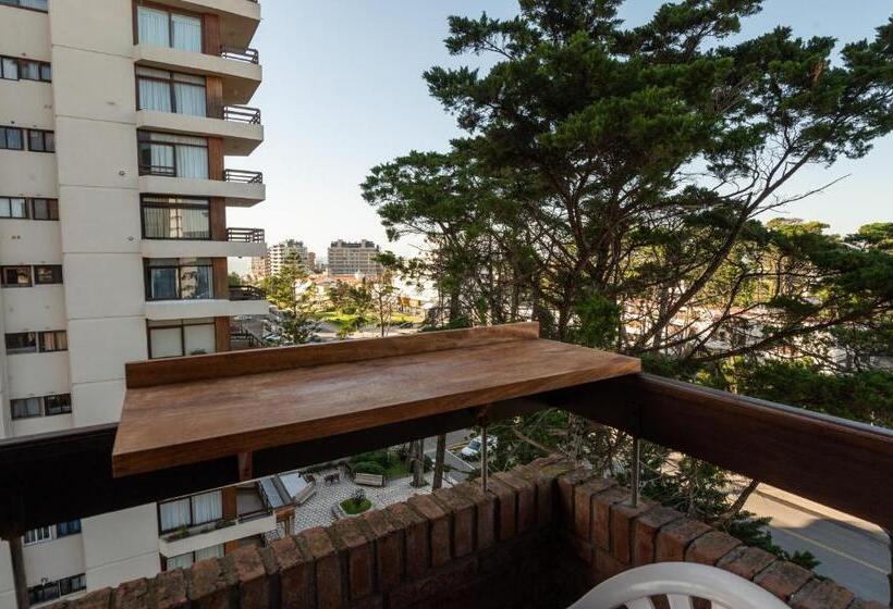 آپارتمان سوپریور 1 خوابه, Edificio Las Arenas