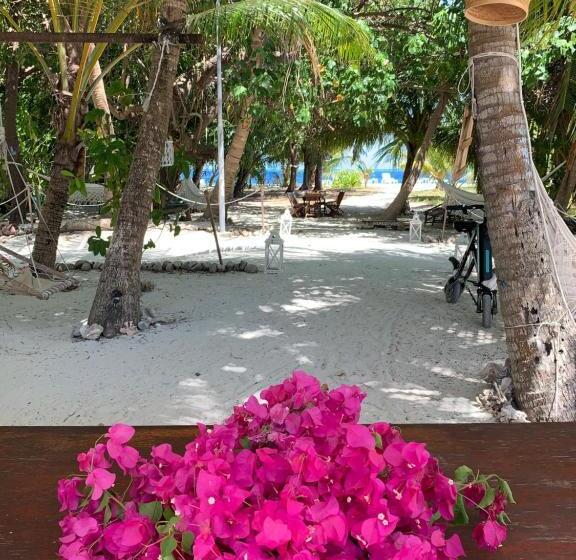 اتاق لوکس با چشم‌انداز دریا, Kahanbu Ocean View