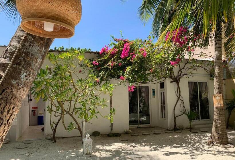 اتاق لوکس با چشم‌انداز دریا, Kahanbu Ocean View
