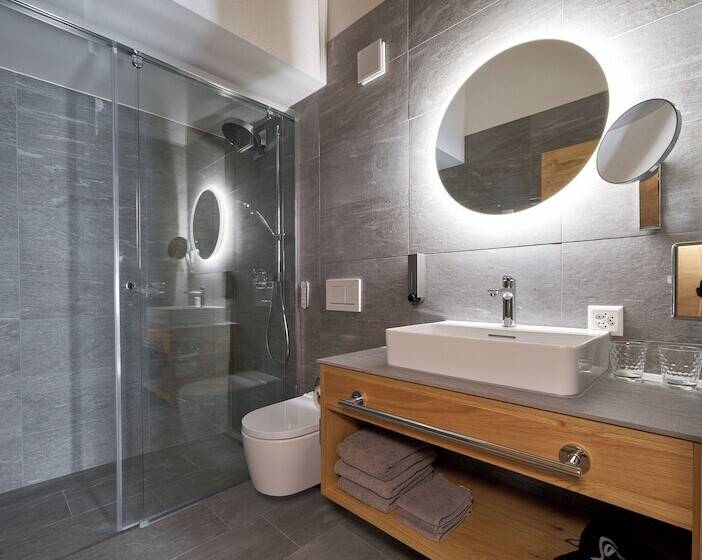带1个卧室的豪华公寓, Aparthotel Grischuna