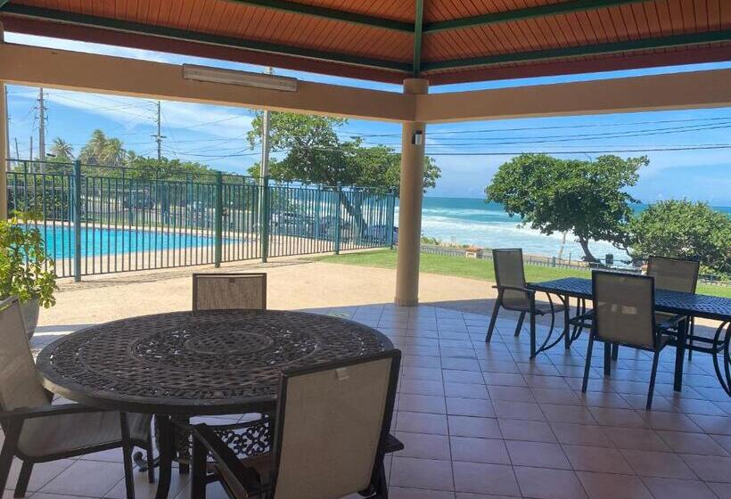 سوییت جونیور با چشم‌انداز استخر, Oceania Apartments At Arecibo 681 Ocean Drive
