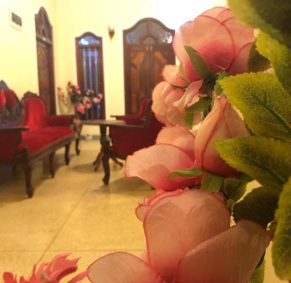 اتاق استاندارد, Tiny Royal Palace
