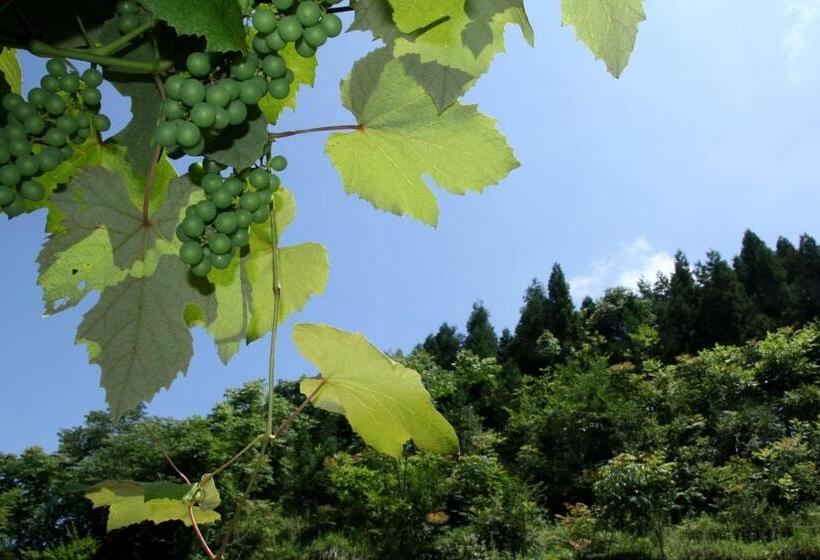 اتاق استاندارد با تراس, Enshi Grand Canyon Chunlun Farmstay