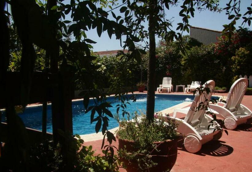 سوییت, Apart Hotel Sahara