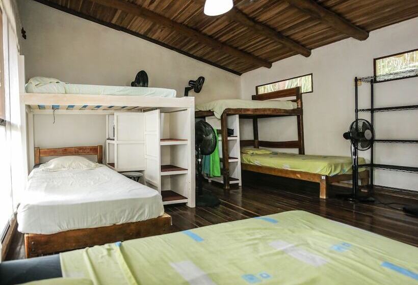 تختخواب در اتاق مشترک, Believe Surf & Yoga Lodge Santa Teresa