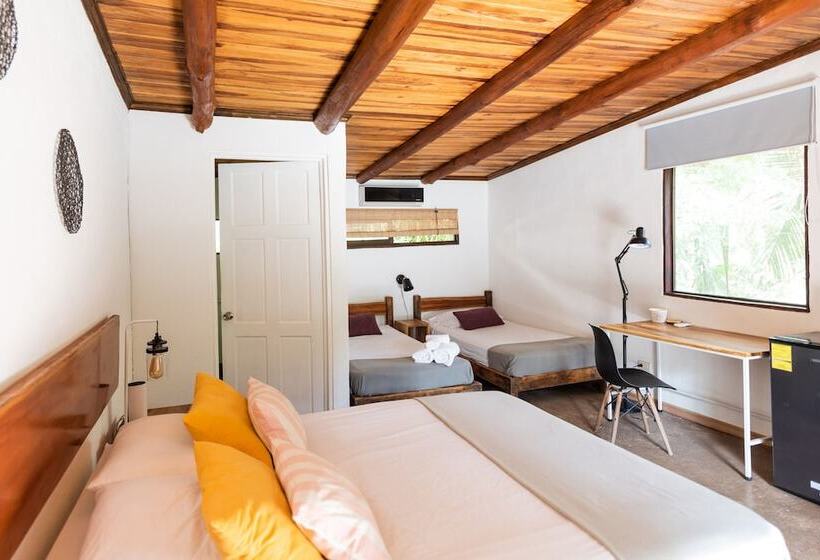 اتاق استاندارد, Believe Surf & Yoga Lodge Santa Teresa