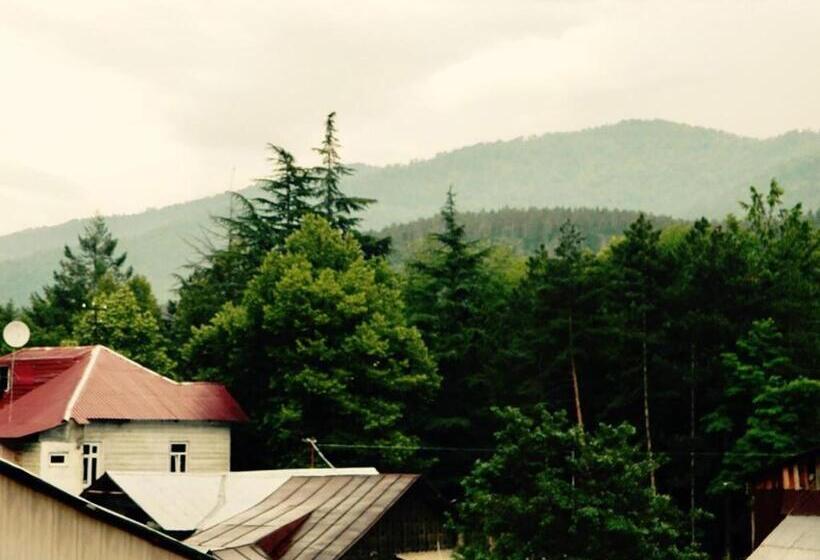 اتاق استاندارد با تخت بزرگ, Erik's Guest House