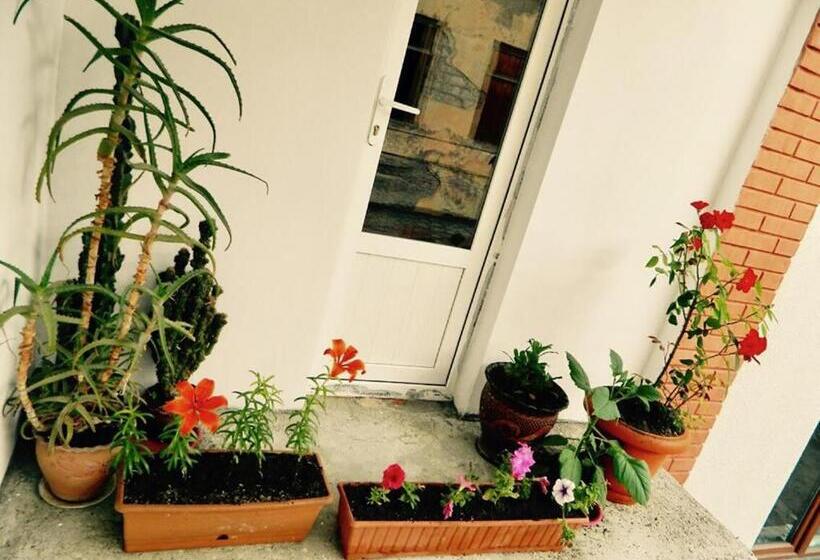 اتاق لوکس, Erik's Guest House