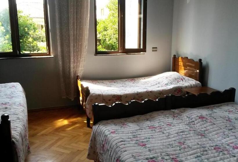 اتاق ساده سه‌ نفره, Guest House 118 In Kvariati