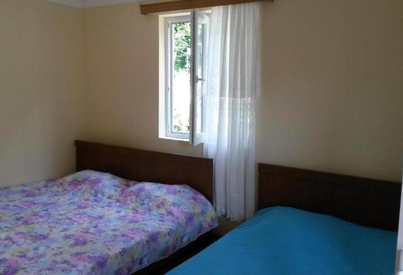 اتاق ساده سه‌ نفره, Guest House 118 In Kvariati