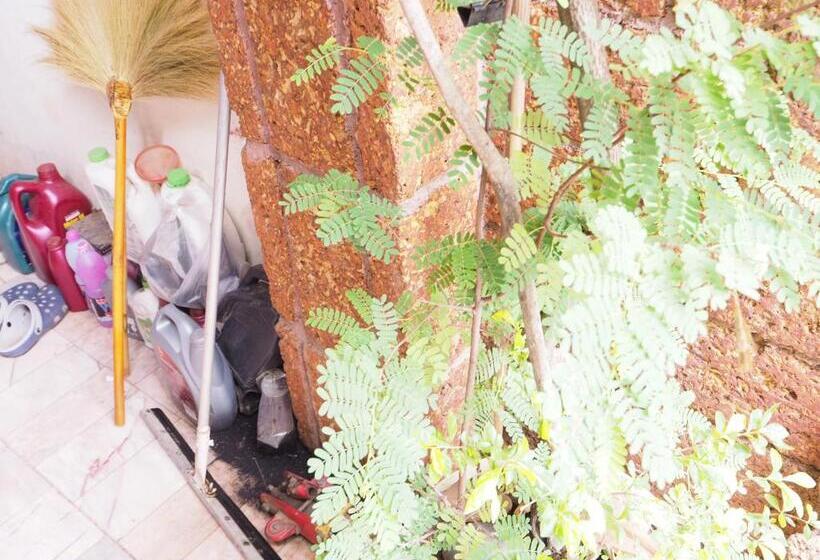 اتاق لوکس, Three J Guesthouse