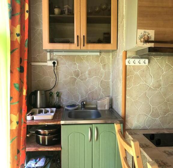 آپارتمان 2 خوابه, Guest House Eco Home