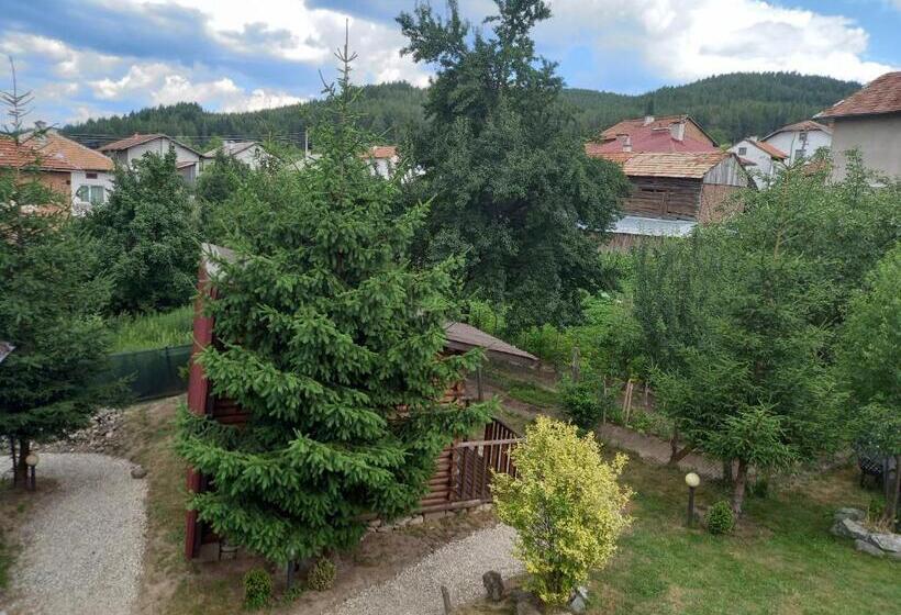 اتاق استاندارد سه نفره, Guest House Raffe