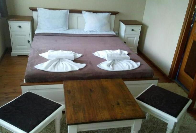 بانگلوی استاندارد, Guest House Raffe