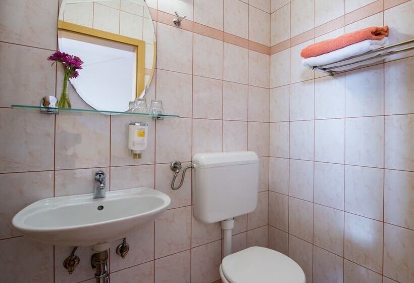 اتاق استاندارد با تخت بزرگ, Guesthouse Kolesar