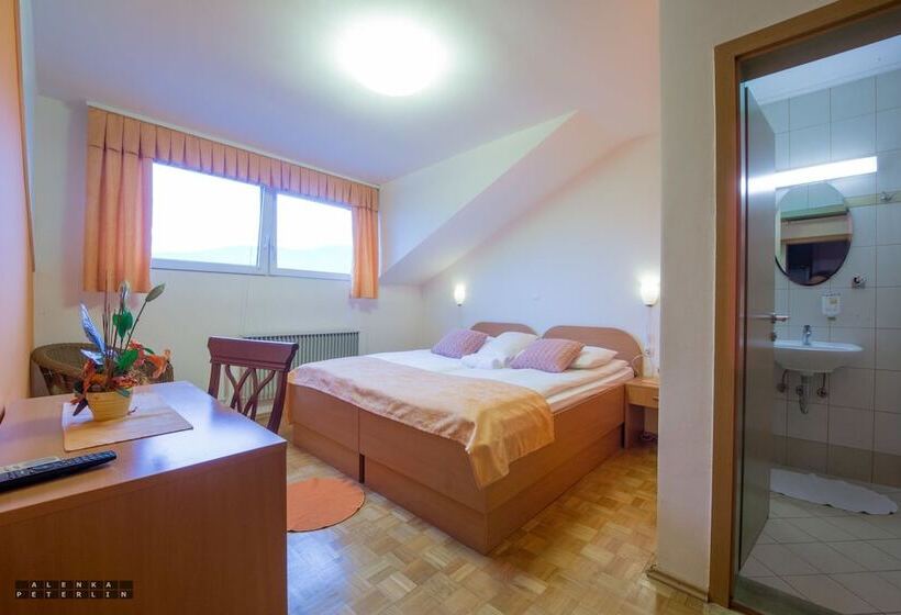 اتاق استاندارد با تخت بزرگ, Guesthouse Kolesar