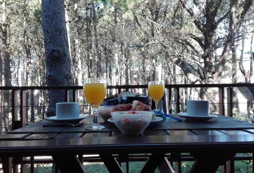 آپارتمان 2 خوابه, La Pedrera