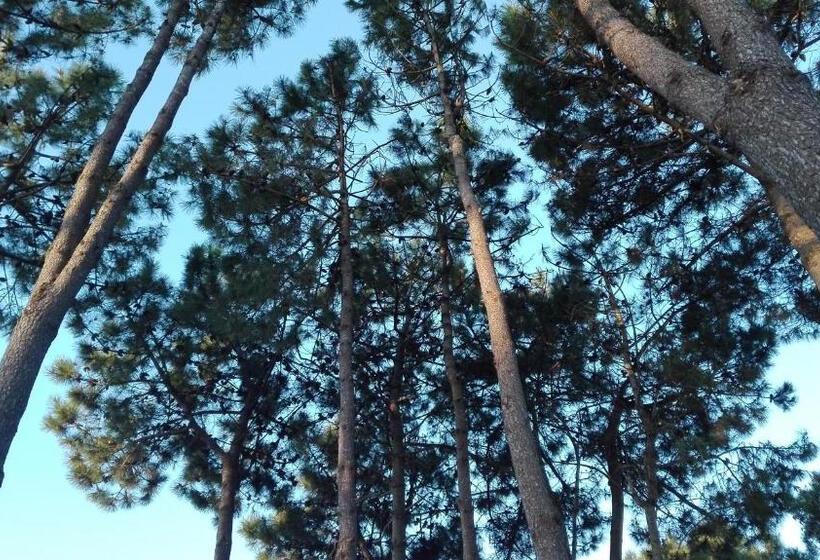 آپارتمان 1 خوابه, La Pedrera