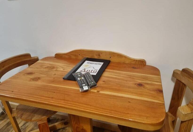 اتاق خانوادگی, Apart Hotel Antu De Villarrica
