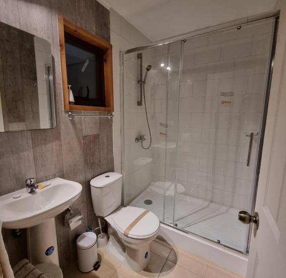 سوییت, Apart Hotel Antu De Villarrica