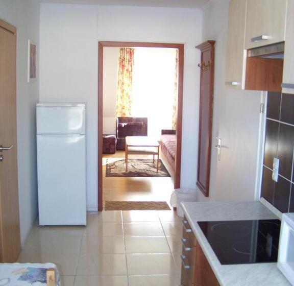 آپارتمان 1 خوابه, Alpesi Apartman Downtown