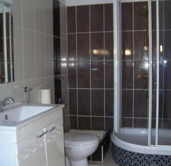 آپارتمان 1 خوابه, Alpesi Apartman Downtown