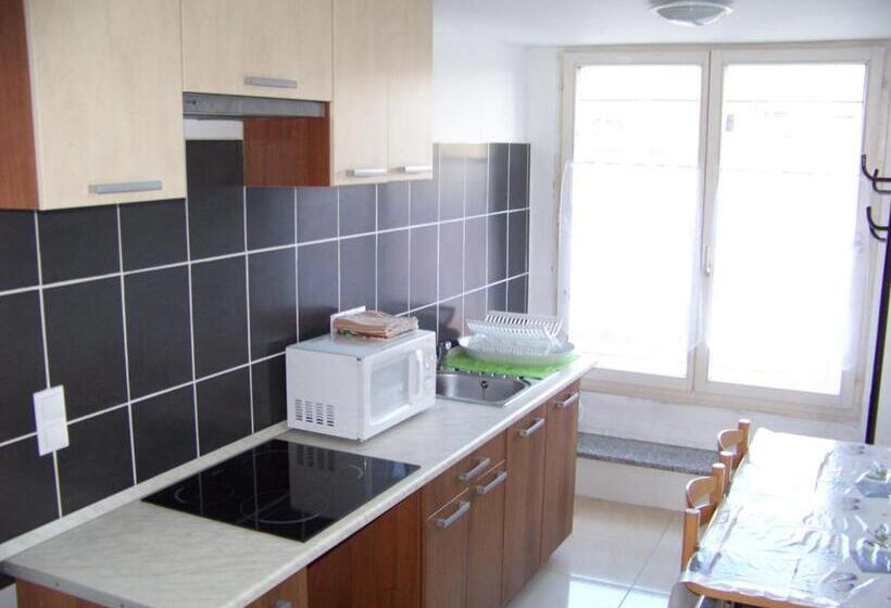 آپارتمان 1 خوابه, Alpesi Apartman Downtown