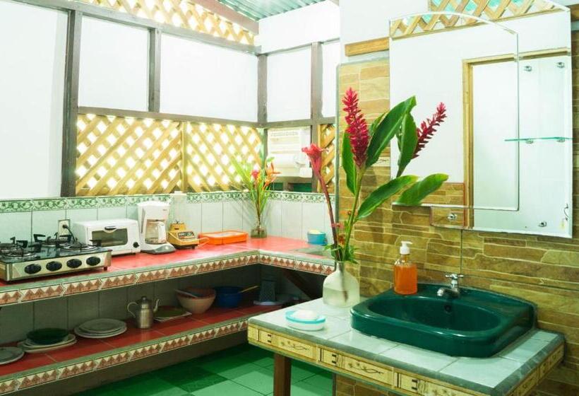 اتاق استاندارد با سرویس بهداشتی مشترک, Hostal Cecilia