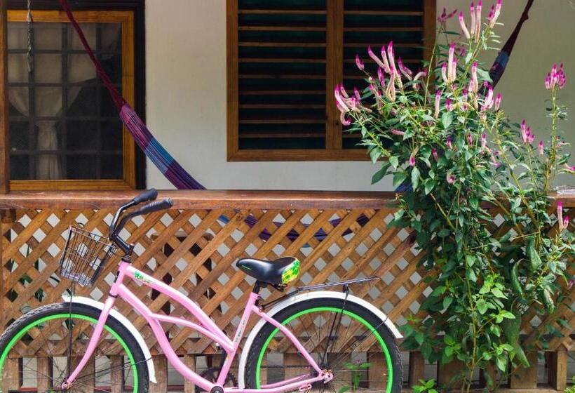 اتاق استاندارد با سرویس بهداشتی مشترک, Hostal Cecilia