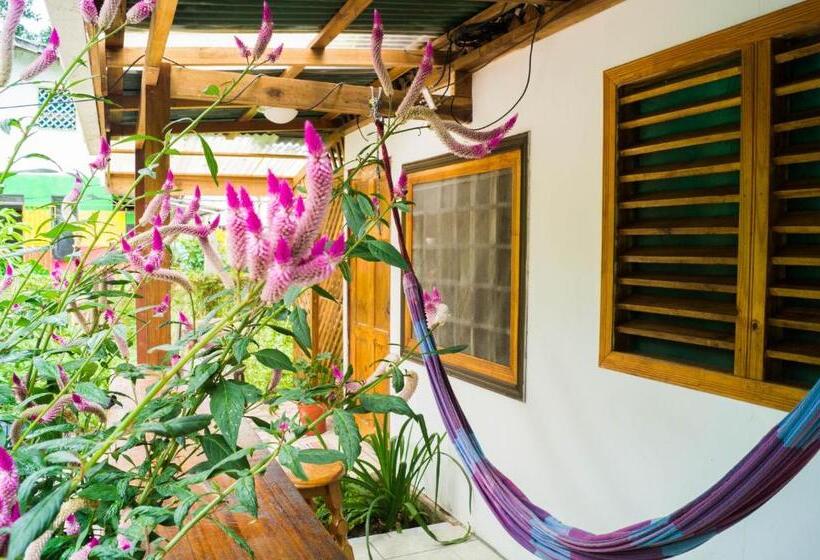 اتاق استاندارد با سرویس بهداشتی مشترک, Hostal Cecilia
