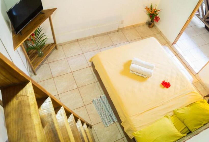 اتاق استاندارد, Hostal Cecilia
