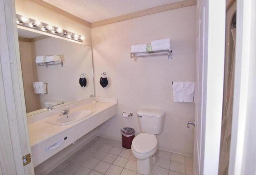 اتاق استاندارد, Paddle Wheel Inn
