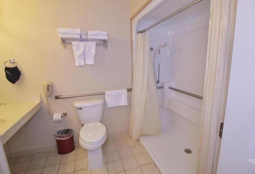 اتاق استاندارد با تخت بزرگ برای معلولان, Paddle Wheel Inn