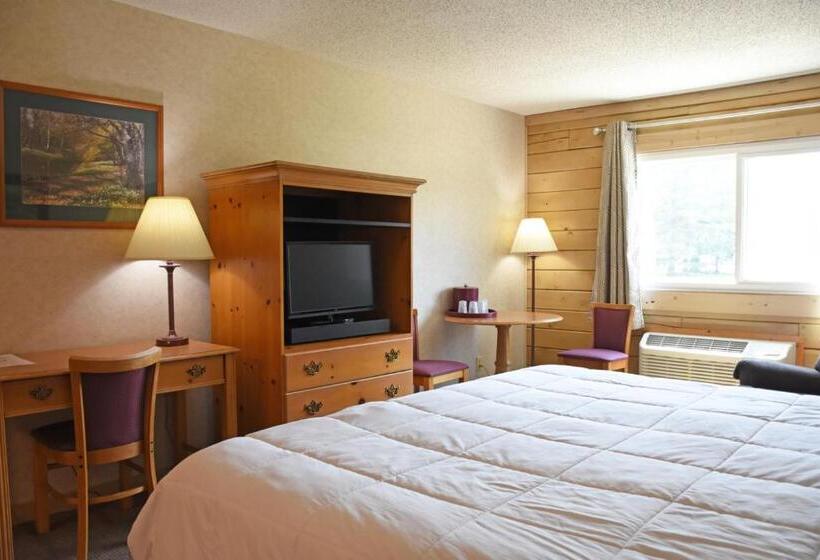 اتاق استاندارد با تخت بزرگ برای معلولان, Paddle Wheel Inn